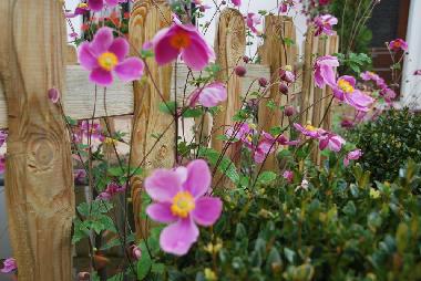 Casa de vacaciones en Falisolle (Wallonia)Casa de vacaciones