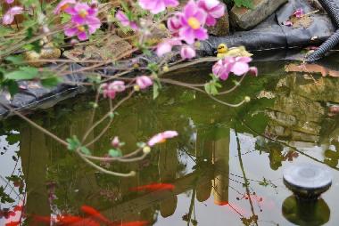 Casa de vacaciones en Falisolle (Wallonia)Casa de vacaciones