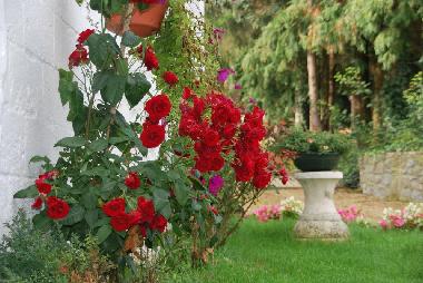 Casa de vacaciones en Falisolle (Wallonia)Casa de vacaciones