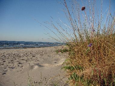 Casa de vacaciones en Simrishamn (Sk�ne)Casa de vacaciones