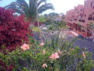 Apartamento de vacaciones en Corralejo (Fuerteventura)Casa de vacaciones
