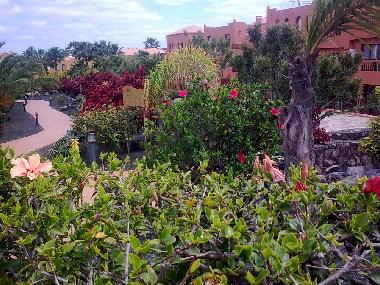 Apartamento de vacaciones en Corralejo (Fuerteventura)Casa de vacaciones