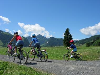 Apartamento de vacaciones en Oberiberg (Hoch-Ybrig)Casa de vacaciones