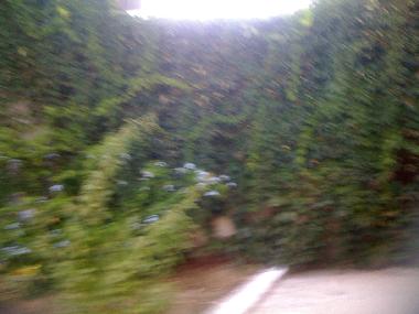 Casa de vacaciones en Bizerte (Banzart)Casa de vacaciones