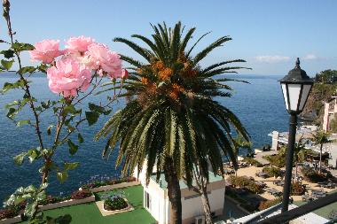 Apartamento de vacaciones en Funchal (Madeira)Casa de vacaciones