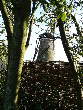 Apartamento de vacaciones en Nieuwvliet  (Zeeland)Casa de vacaciones