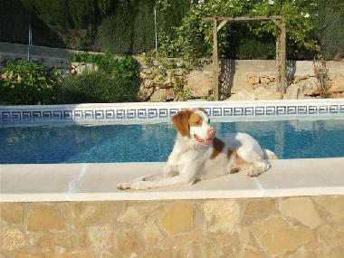 Apartamento de vacaciones en Benaguasil  (Valencia / Valncia)Casa de vacaciones