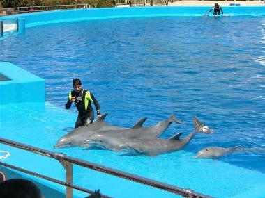 Apartamento de vacaciones en Benaguasil  (Valencia / Valncia)Casa de vacaciones