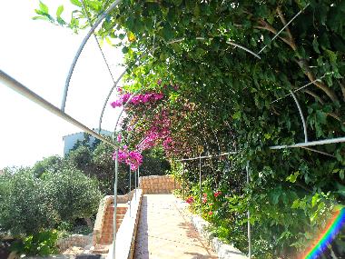 Cama y desayuno en Lile Pag Novalja  (Licko-Senjska)Casa de vacaciones