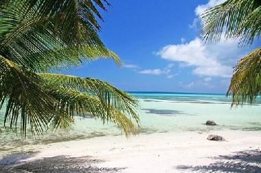 Apartamento de vacaciones en dominicus (La Romana)Casa de vacaciones