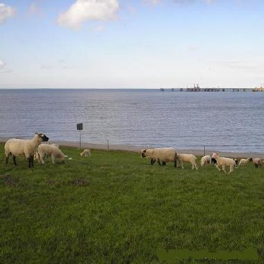 Apartamento de vacaciones en Hooksiel (Nordsee-Festland / Ostfriesland)Casa de vacaciones