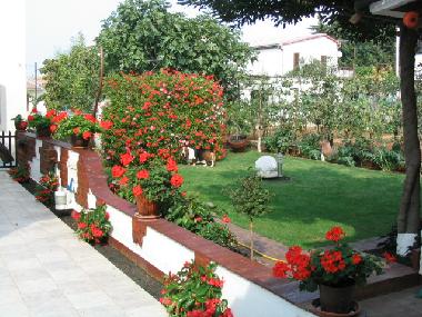 Apartamento de vacaciones en Fazana (Istarska)Casa de vacaciones