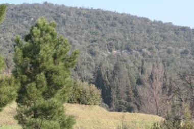 Casa de vacaciones en Monsummano Terme (Pistoia)Casa de vacaciones