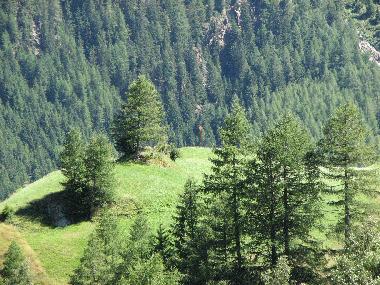 Apartamento de vacaciones en S�lden (Tiroler Oberland)Casa de vacaciones
