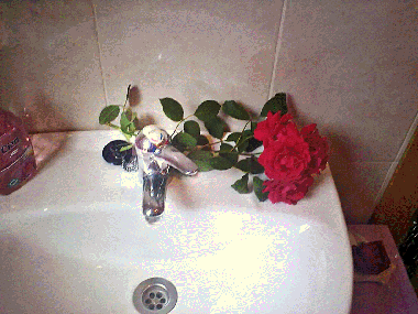 Aseo con ducha