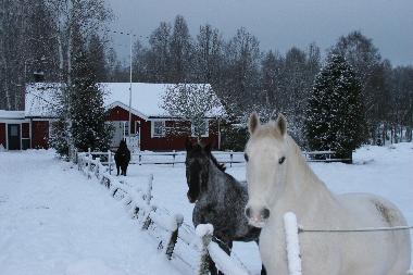 Casa de vacaciones en Sk�fshult/VIMMERBY (Smaland)Casa de vacaciones