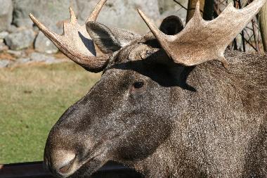 Casa de vacaciones en Sk�fshult/VIMMERBY (Smaland)Casa de vacaciones