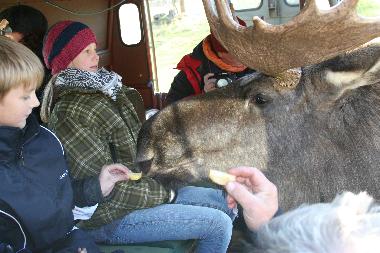 Casa de vacaciones en Sk�fshult/VIMMERBY (Smaland)Casa de vacaciones