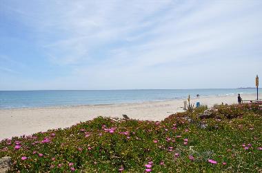 Apartamento de vacaciones en La Manga del Mar Menor (Murcia)Casa de vacaciones