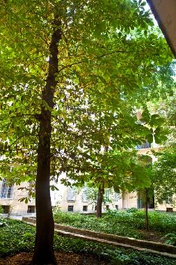 Apartamento de vacaciones en Budapest (Budapest)Casa de vacaciones