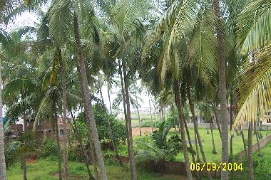 Casa de vacaciones en Morgim Beach,North Goa (Goa)Casa de vacaciones