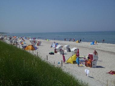 Apartamento de vacaciones en Dierhagen (Fischland-Dar-Zingst)Casa de vacaciones