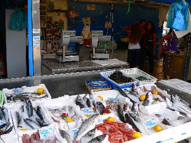 Apartamento de vacaciones en Roma (Roma)Casa de vacaciones