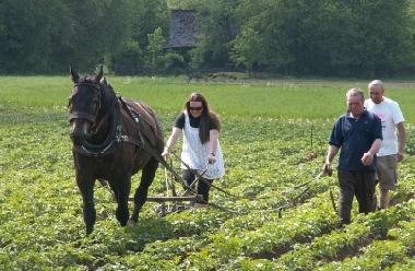 Villa en Stryszow near Krakow (Malopolskie)Casa de vacaciones