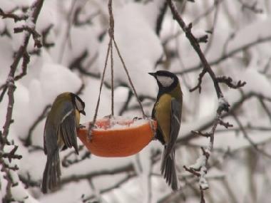 Villa en Stryszow near Krakow (Malopolskie)Casa de vacaciones