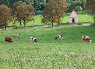 Villa en Stryszow near Krakow (Malopolskie)Casa de vacaciones