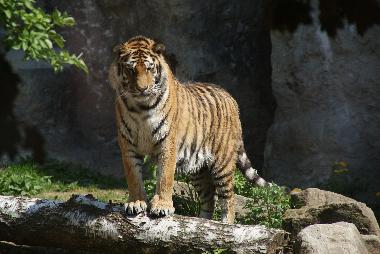 Apartamento de vacaciones en Rudnik (Kralovehradecky Kraj)Casa de vacaciones