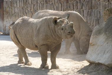 Apartamento de vacaciones en Rudnik (Kralovehradecky Kraj)Casa de vacaciones