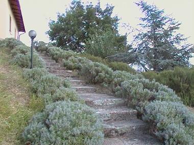 Apartamento de vacaciones en Barberino di Mugello (Firenze)Casa de vacaciones