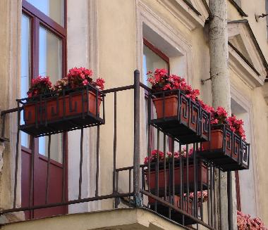 Cama y desayuno en St. Petersburg (Sankt-Peterburg)Casa de vacaciones