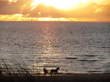 Apartamento de vacaciones en Egmond aan Zee (Noord-Holland)Casa de vacaciones