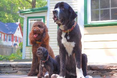 Casa de vacaciones en Woodstock (New York)Casa de vacaciones