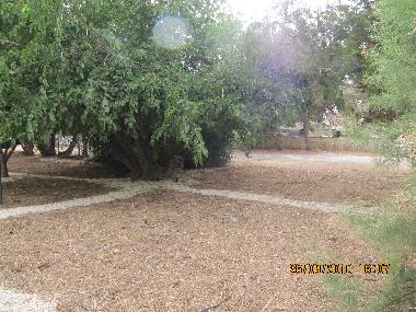 Apartamento de vacaciones en Mikhmoret (Tel Aviv)Casa de vacaciones