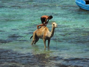 Apartamento de vacaciones en dahab (Janub Sina