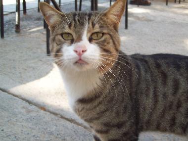 Apartamento de vacaciones en Antalya Stadt (Antalya)Casa de vacaciones