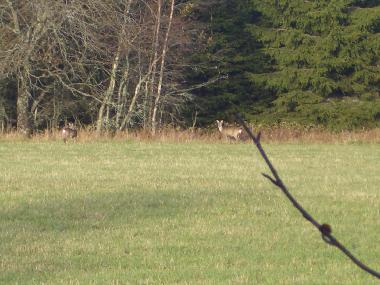 Casa de vacaciones en Elsabo (Smaland)Casa de vacaciones