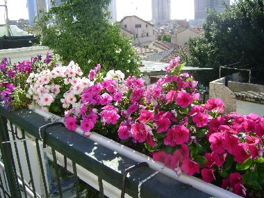 Cama y desayuno en Tel Aviv (Tel Aviv)Casa de vacaciones