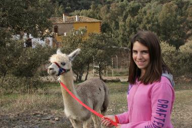 Apartamento de vacaciones en Montoro (Crdoba)Casa de vacaciones