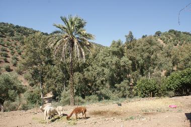 Apartamento de vacaciones en Montoro (Crdoba)Casa de vacaciones