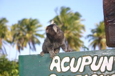 Casa de vacaciones en Mata de S�o Jo�o (Bahia)Casa de vacaciones