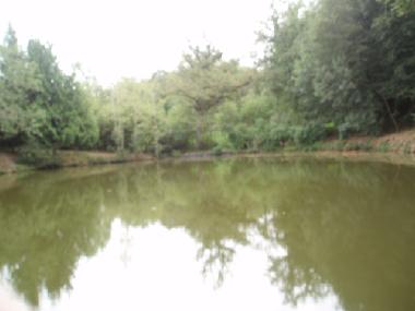 Casa de vacaciones en St Priest la March (Centro)Casa de vacaciones