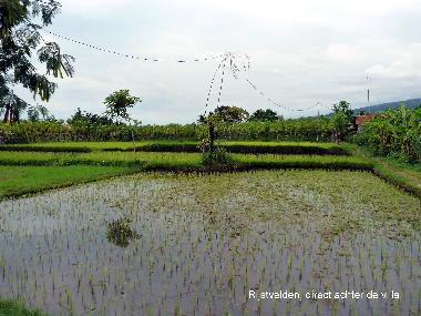 Casa de vacaciones en Dencarik (Bali)Casa de vacaciones