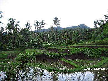 Casa de vacaciones en Dencarik (Bali)Casa de vacaciones