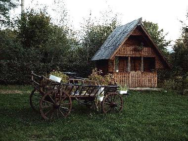 Cama y desayuno en Avrig (Sibiu)Casa de vacaciones