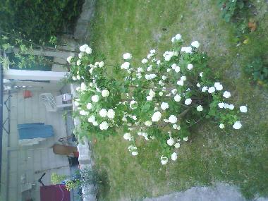 Casa de vacaciones en Bobigny (Seine-Saint-Denis)Casa de vacaciones