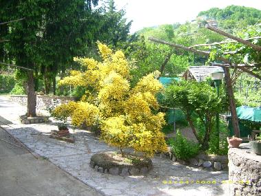 Apartamento de vacaciones en Tramonti - Costiera Amalfitana - (Salerno)Casa de vacaciones